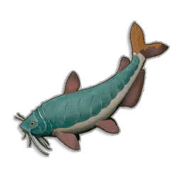 Raw Armoured Catfish - Runescape Dragonwilds