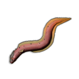 Raw Infernal Eel - Runescape Dragonwilds
