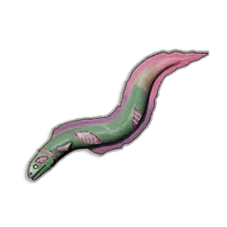Raw Undead Eel - Runescape Dragonwilds