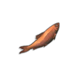 Burnt Sardine - Runescape Dragonwilds
