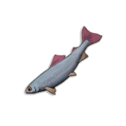 Raw Herring - Runescape Dragonwilds