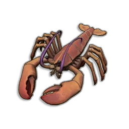 Raw Lobster - Runescape Dragonwilds