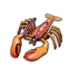 Pristine Lobster - Runescape Dragonwilds