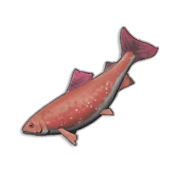 Raw Salmon - Runescape Dragonwilds