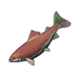 Raw Trout - Runescape Dragonwilds