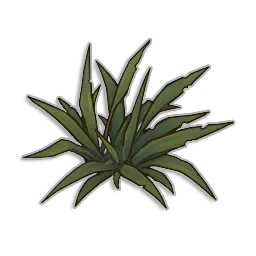 Weeds - Runescape Dragonwilds