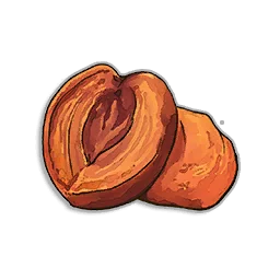 Burnt Peach - Runescape Dragonwilds