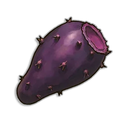 Bunny Cactus Seeds - Runescape Dragonwilds