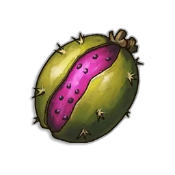 Pipe Cactus Seeds - Runescape Dragonwilds