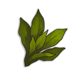Kwuarm - Runescape Dragonwilds