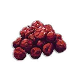 Burnt Redberries - Runescape Dragonwilds