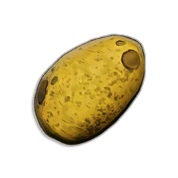 Potato - Runescape Dragonwilds