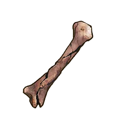 Undead Bone - Runescape Dragonwilds