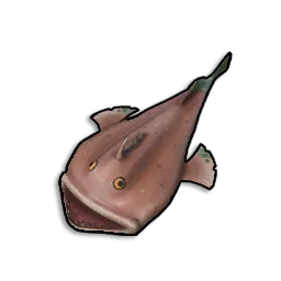 Raw Monkfish - Runescape Dragonwilds