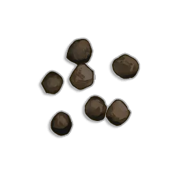 Cabbage Seeds - Runescape Dragonwilds