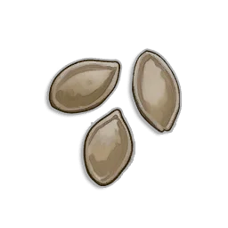 Pumpkin Seeds - Runescape Dragonwilds