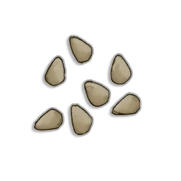 Tomato Seeds - Runescape Dragonwilds