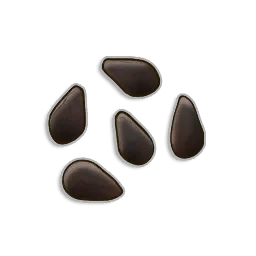 Watermelon Seeds - Runescape Dragonwilds