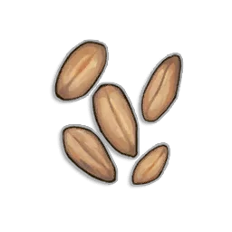 Wheat Seeds - Runescape Dragonwilds